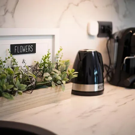 Infinite Sea View ママイア